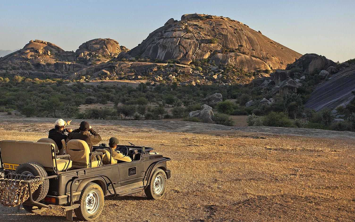 Private Full day Jawai safari