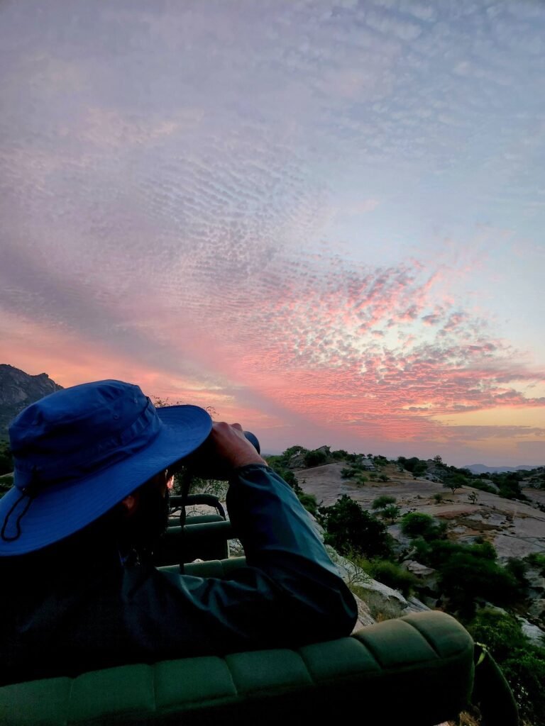 Sunset Leopard Safari