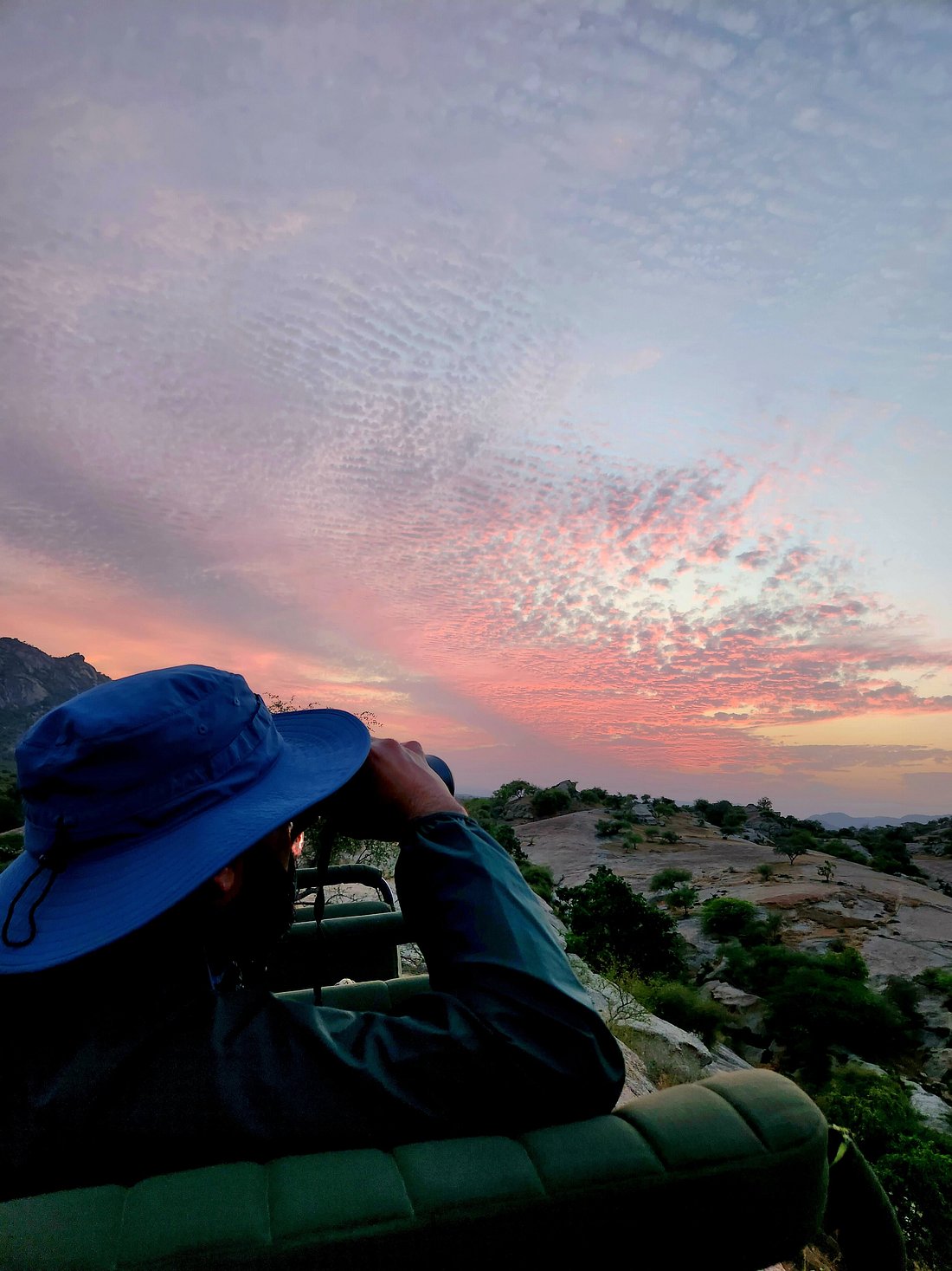 Sunset Leopard Safari