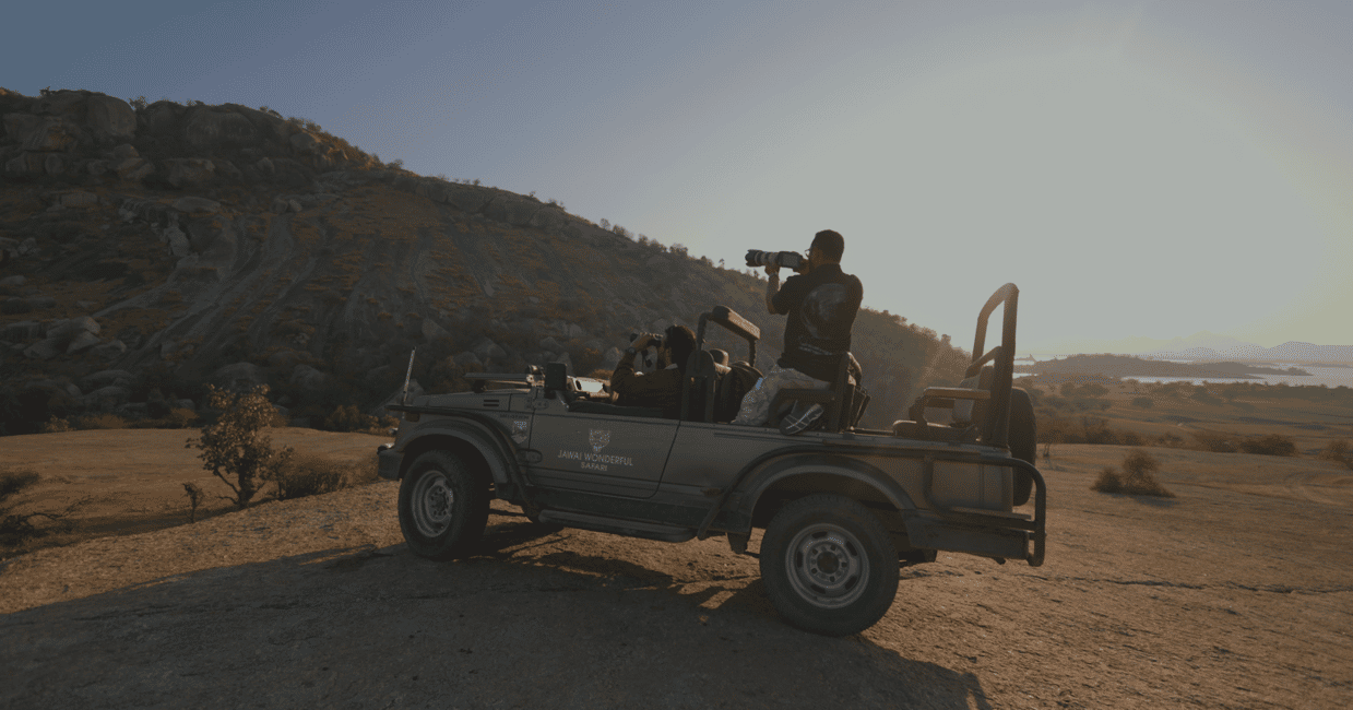 Sunrise Leopard Safari