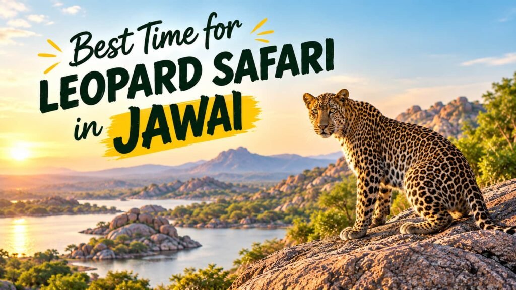 Best Time for Leopard Safari in Jawai